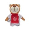 Beer Pluche Ajax Met Bal Knuffel 25 Cm