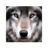 Crystal Art Wolf Met Frame 30 X 30 Cm