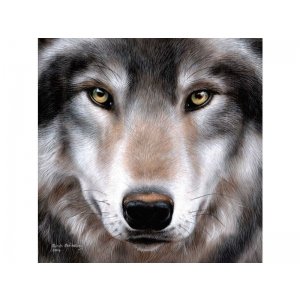 Crystal Art Wolf Met Frame 30 X 30 Cm