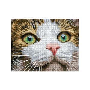 Diamond Dotz Kat Groene Ogen 43x35cm