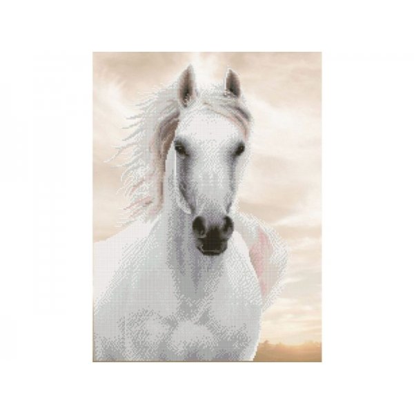 Diamond Dotz Paard Hengst 65x48 Cm