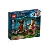 LEGO Harry Potter 75967 Het Verboden Bos: Omber's  Ontmoeting Met Groemp