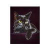 Diamond Dotz Cat Midnight 28x36cm