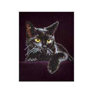 Diamond Dotz Cat Midnight 28x36cm