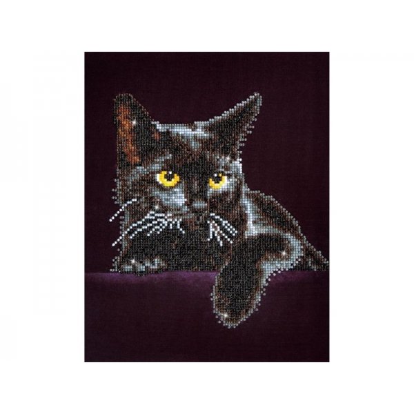 Diamond Dotz Cat Midnight 28x36cm