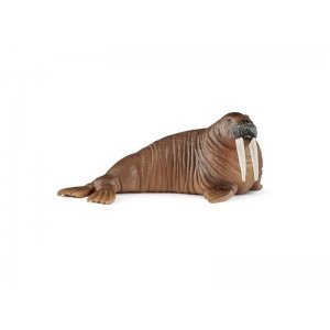 Schleich 14803 Walrus